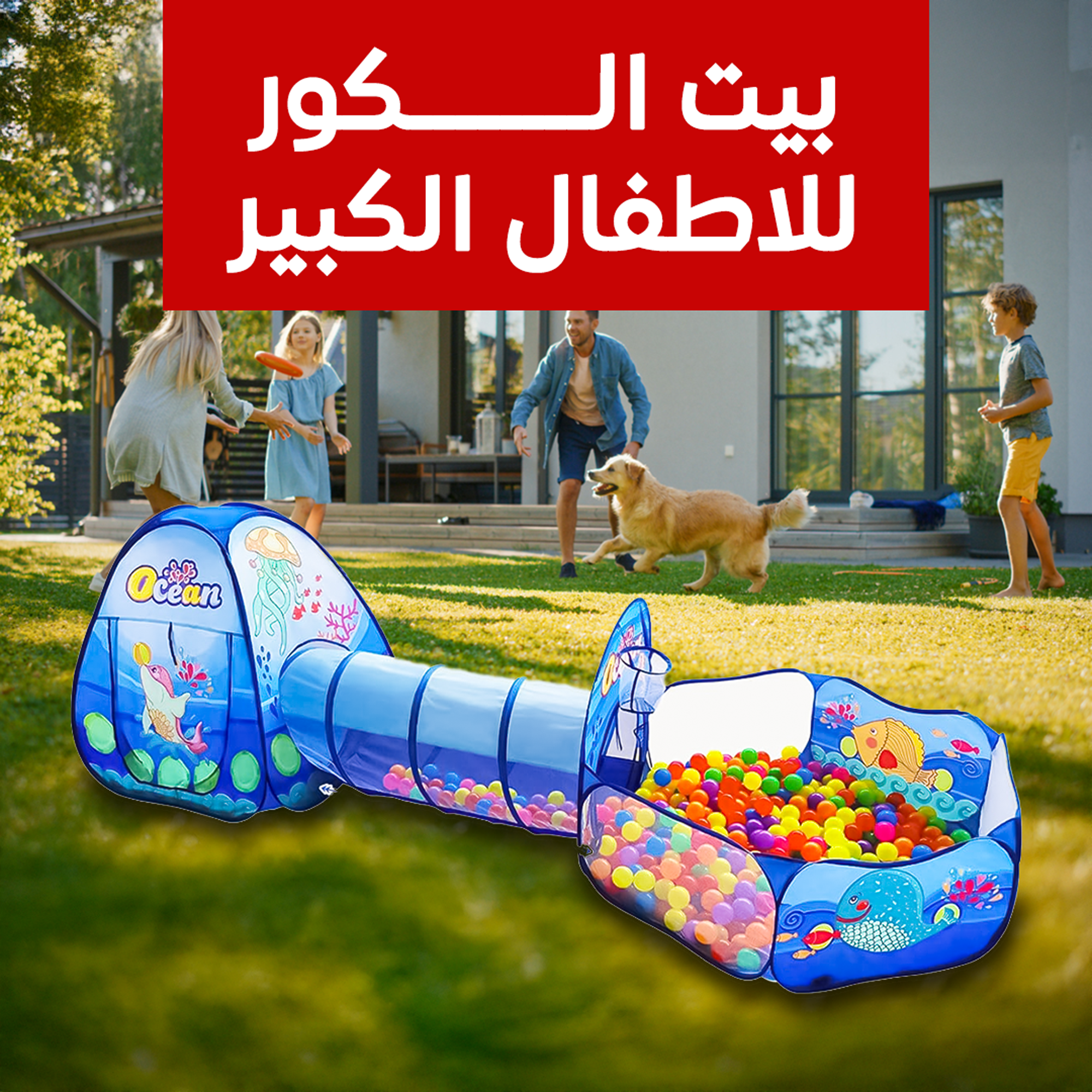 cd9a1c9b-3c69-47b4-bf1a-c01fb08e5cd1 بيت الكور للاطفال الكبير - الصورة 1