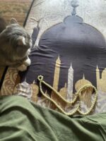 مصلية مبطنة مانعة للانزلاق كبيرة - Image 7